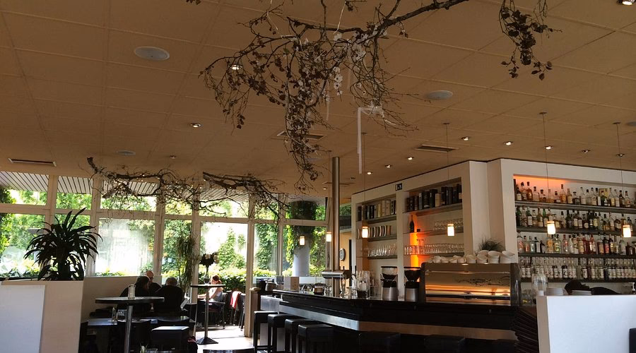 Wie lange wohnte Albert Einstein in Ulm?