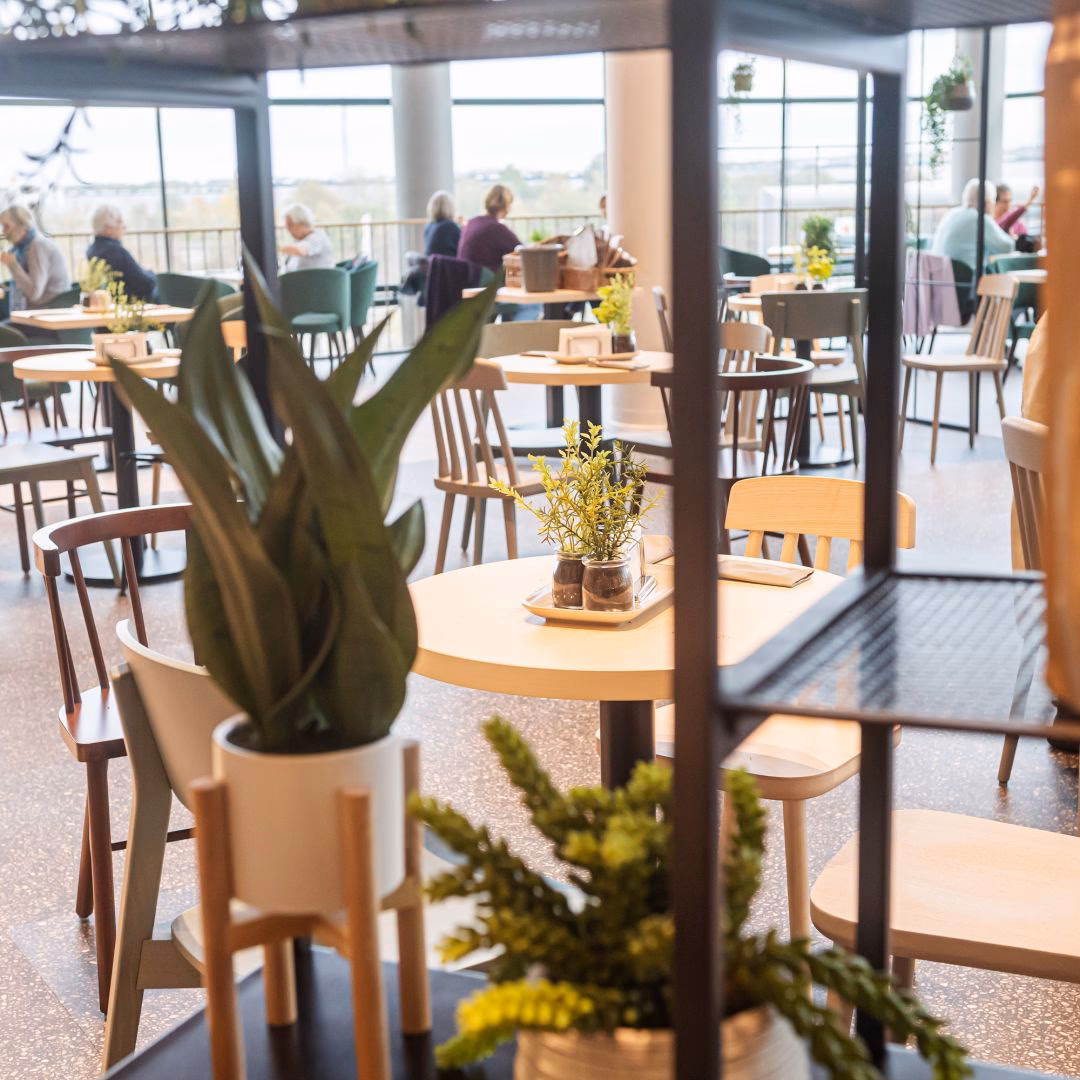 Wie viel kostet das Frühstücksbuffet bei dodenhof?