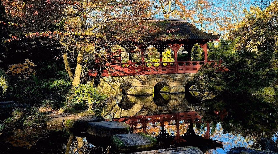 Sind Hunde im japanischen Garten Leverkusen erlaubt?