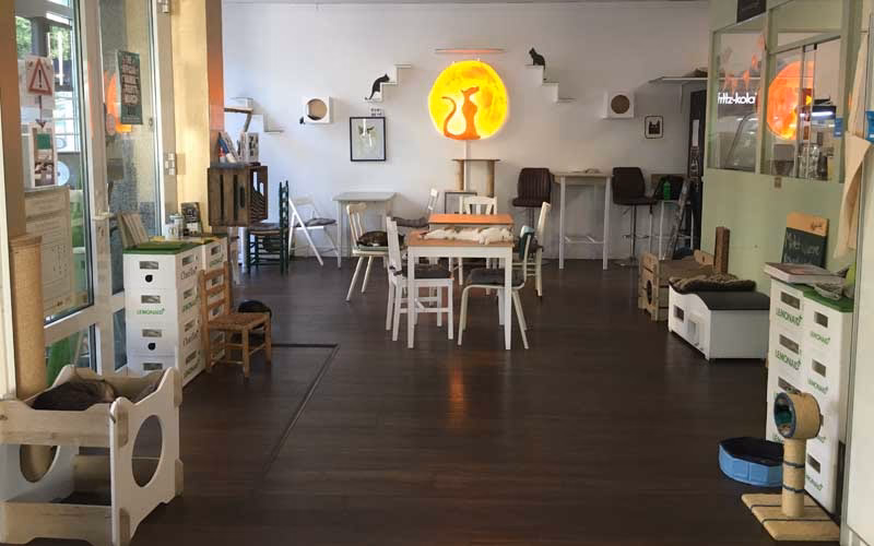 Wie kann ich einen Tisch im Katzentempel Hamburg reservieren?