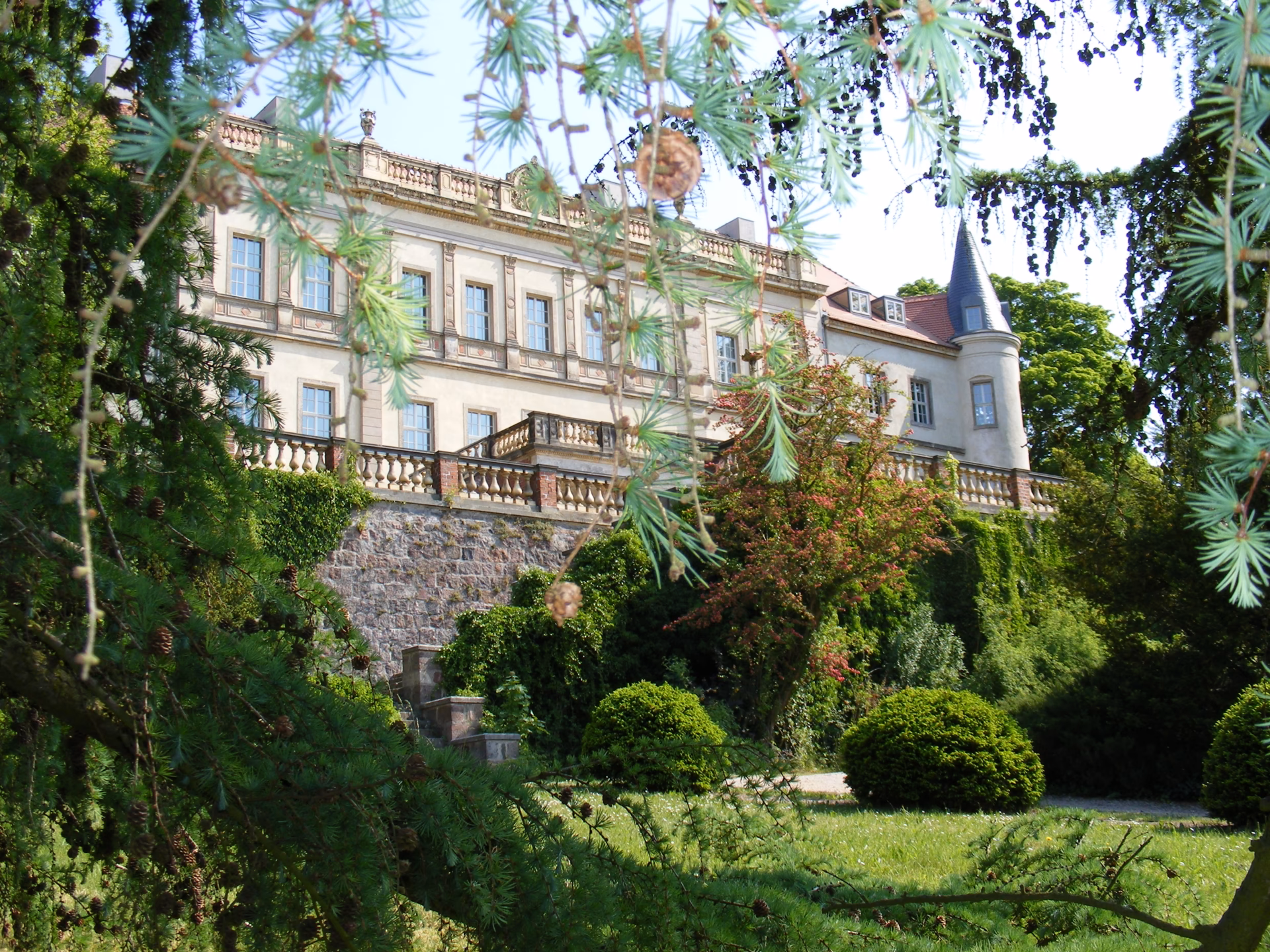 Was befindet sich heute im Schloss Wiesenburg im Fläming?