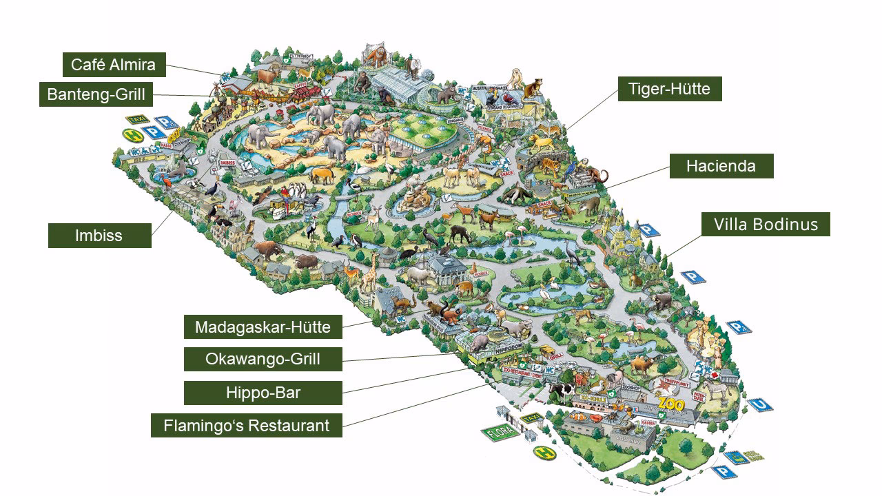 Wie hoch sind die Eintrittspreise für Rentner im Kölner Zoo?